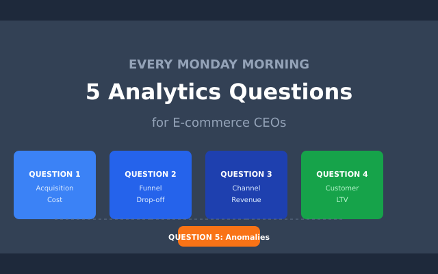 The 5 analytics questions every e-commerce CEO should ask weekly