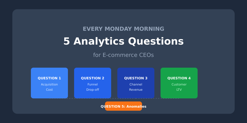 The 5 analytics questions every e-commerce CEO should ask weekly
